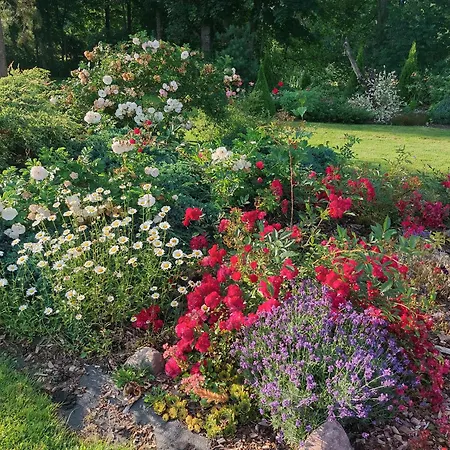 Σπίτι διακοπών Pauna Puhkemajad Tori