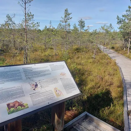 Pauna Puhkemajad * Tori