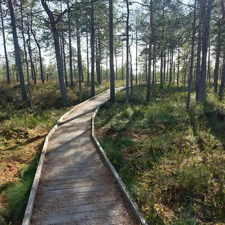 Pauna Puhkemajad * Tori