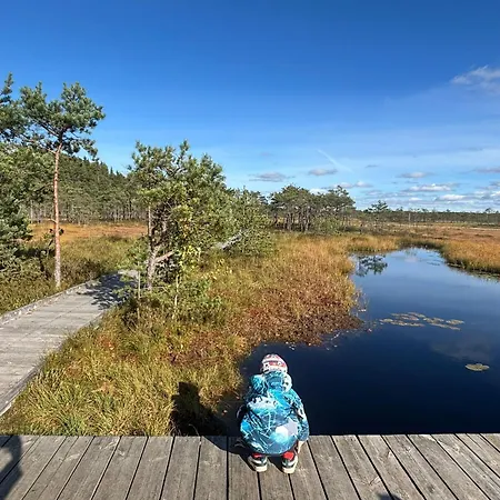 Pauna Puhkemajad Casa vacanze Tori