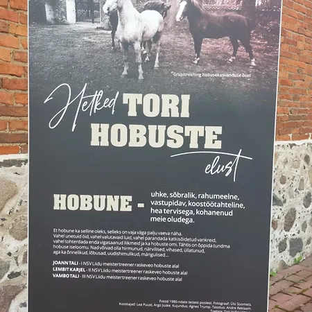 Pauna Puhkemajad Tori