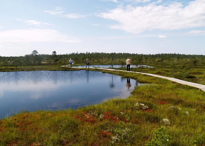 Casa de Férias Pauna Puhkemajad