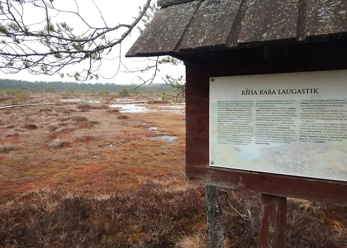 Pauna Puhkemajad Casa de Férias Tori