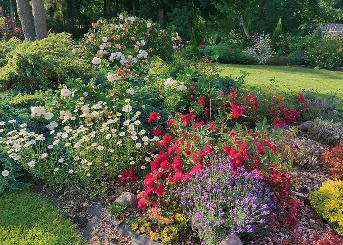 Дом отдыха Pauna Puhkemajad Тори