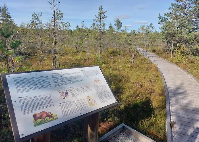 Pauna Puhkemajad * Tori