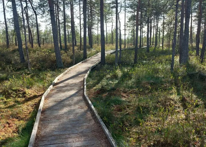 Pauna Puhkemajad * Tori