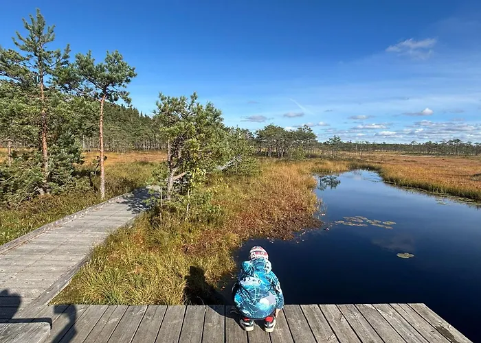 Pauna Puhkemajad Casa de Férias Tori