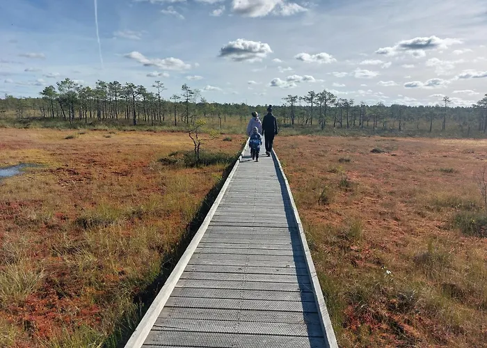 Casa de Férias Pauna Puhkemajad *