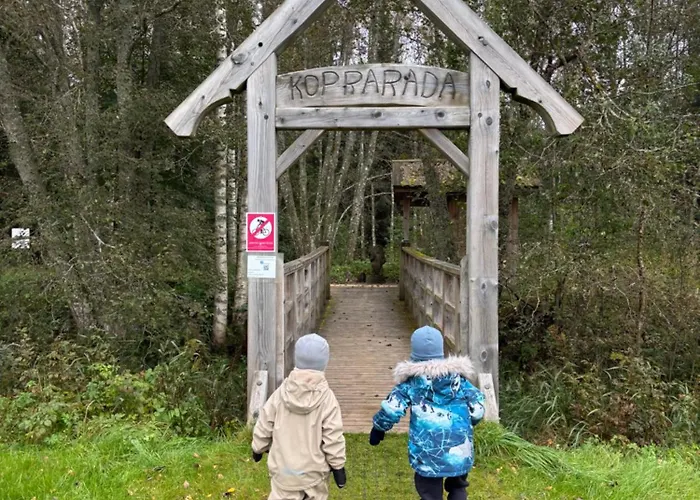 Casa de Férias Pauna Puhkemajad *